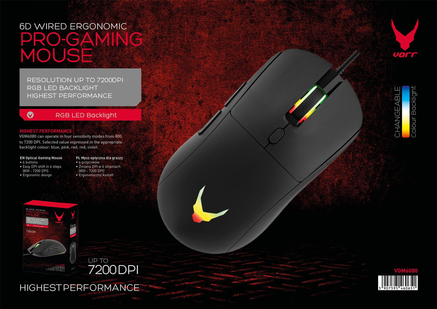 OME46065_10.jpg (OME46065_10.jpg)