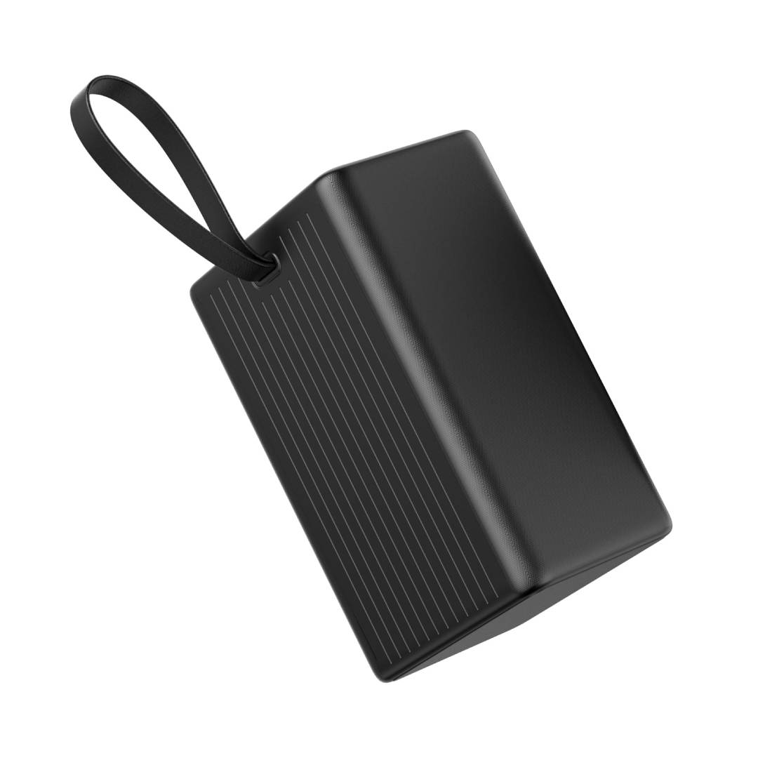 PLA46015_02.jpg